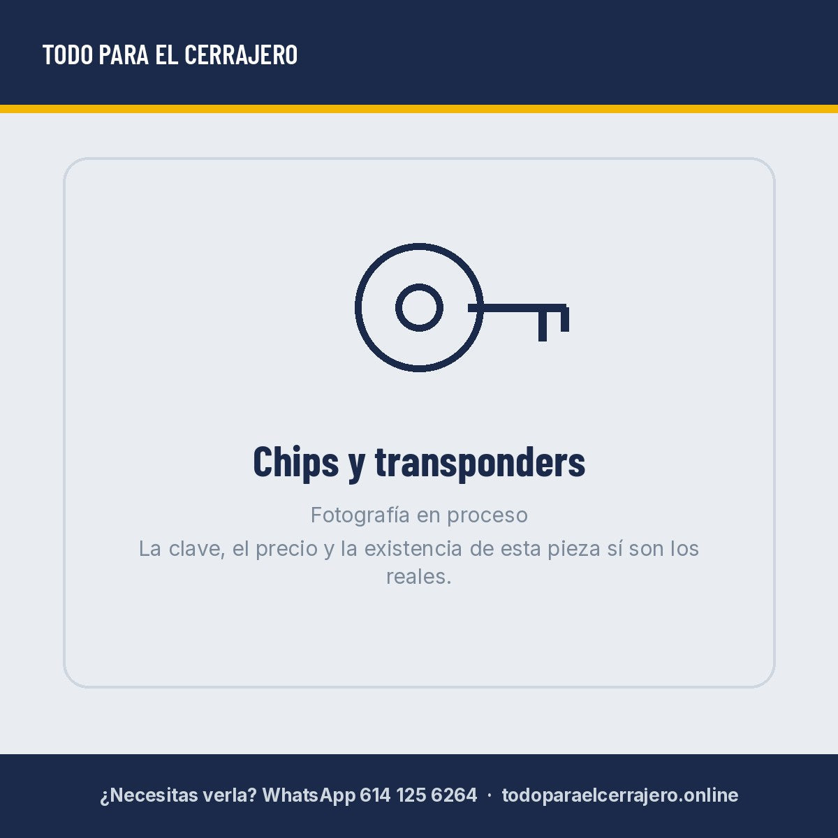 Chip Volkswagen Bora TP23 - clave TP23 - fotografía en proceso