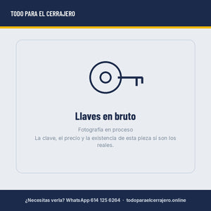 Llave Hueca Platina NE38/NI5TOO